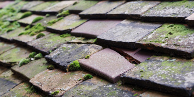 Siddington roof repair costs